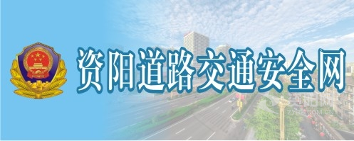 骚逼操曰本资阳道路交通安全网