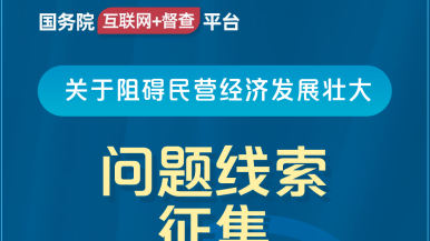 男生和硅胶人后入的直播软件视频国务院“互联网+督查”平台公开征集阻碍民营经济发展壮大问题线索